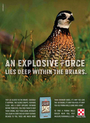 Purina Game Chow Quail